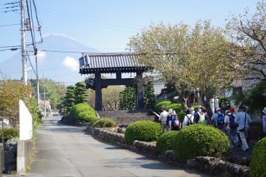 参道から富士山を望む
