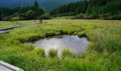 小田貫湿原内池の写真