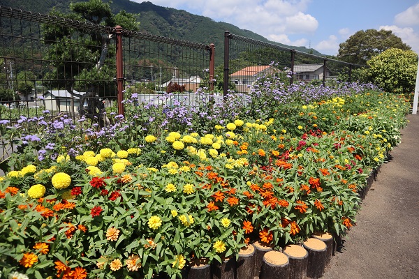 最優秀賞(市長賞)芝川花そう会 こみゅにてぃ黒門支部