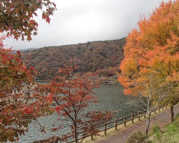 田貫湖