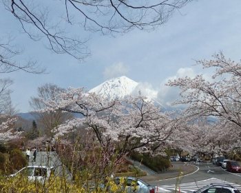 富士桜自然墓地公園