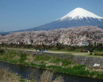 潤井川