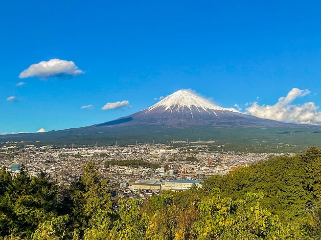 公園から望む市街地と富士山
