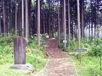木格子2600年記念林主伐