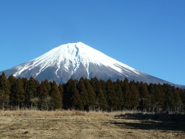 富士山と富士宮市の森林認証林