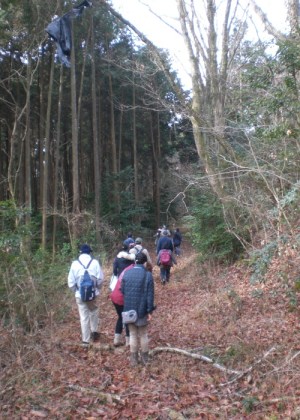 当日は富士山南陵の森周辺を散策し探鳥を行いました。