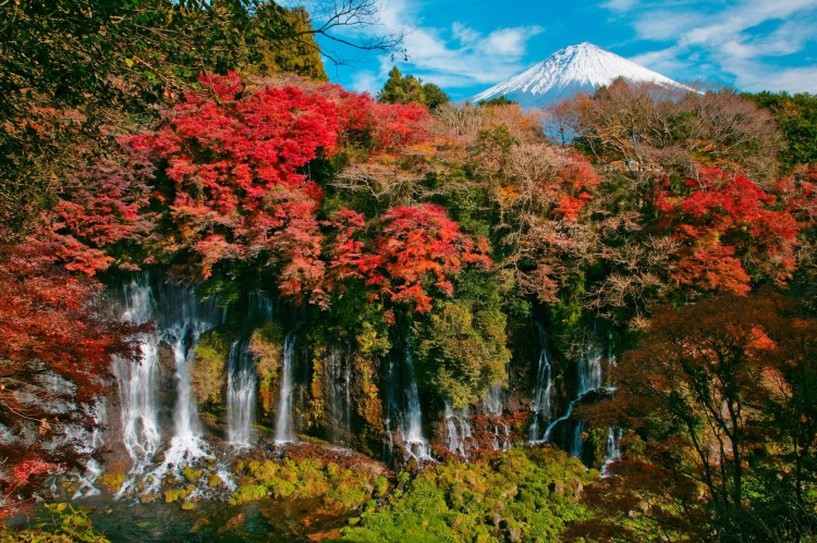 滝 の 富士 白糸