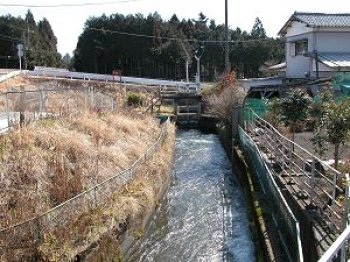 潤井川を渡る手前の様子