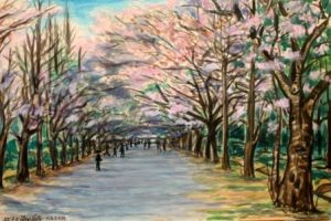 67．北高並木道・春／昭和51年(1976)／宮北町