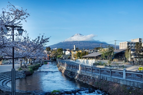Mt. Fuji Brewing