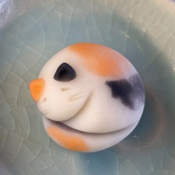 َq̍ 