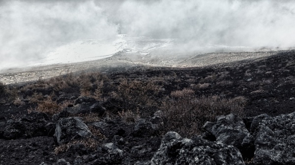{ERoR(Photo by Masaki KIuchi.)