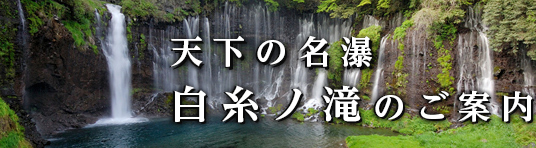 ̑(ӂ݂̂NAVI)