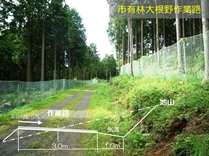 XэƓWf