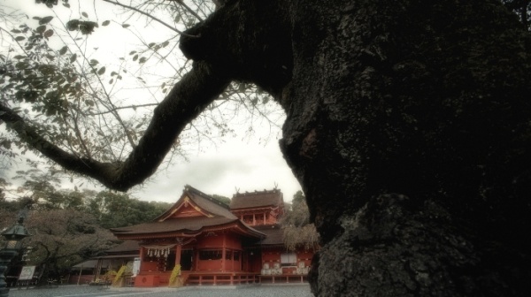 富士山本宮浅間大社(Photo by Masaki Kiuchi.)