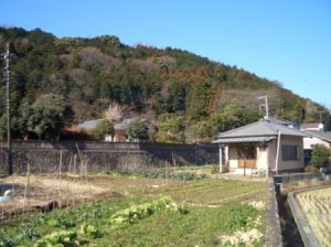 吉野本家遠景の写真
