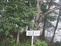 標識2