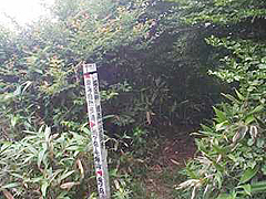標識3
