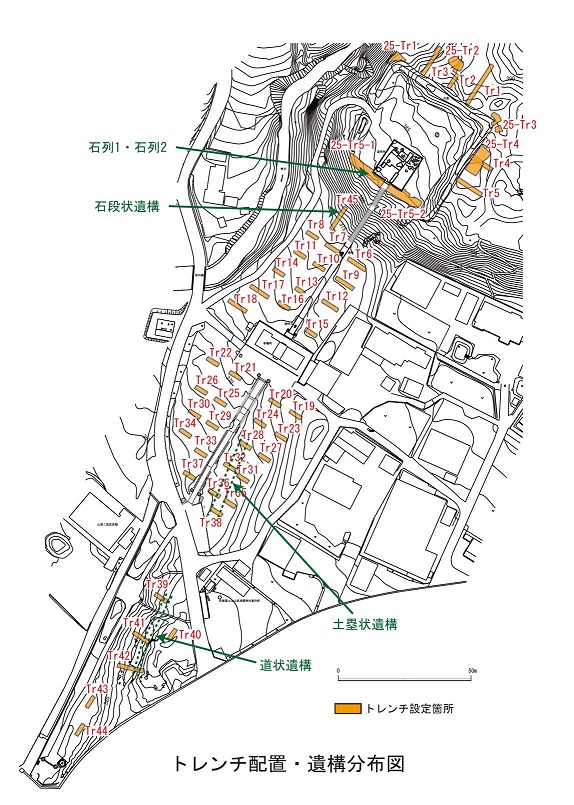 トレンチ配置・遺構分布図