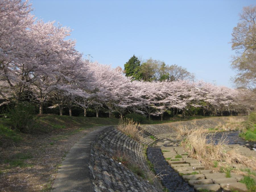 潤井川せせらぎ公園の会