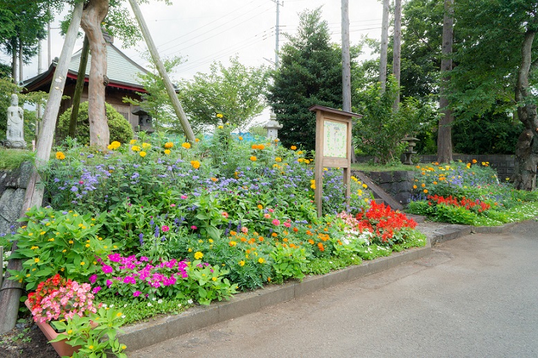杉田子安神社1