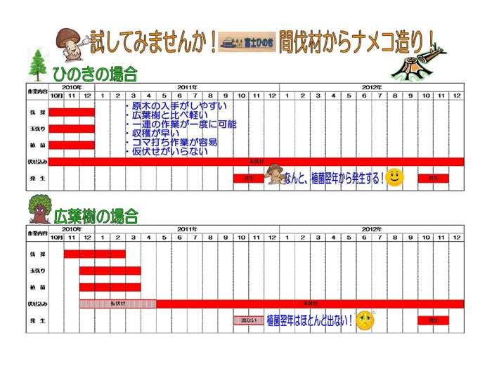 ひのき及び広葉樹でのナメコ造りの年表