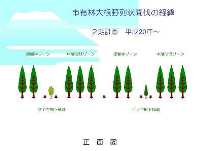 経緯樹下植栽