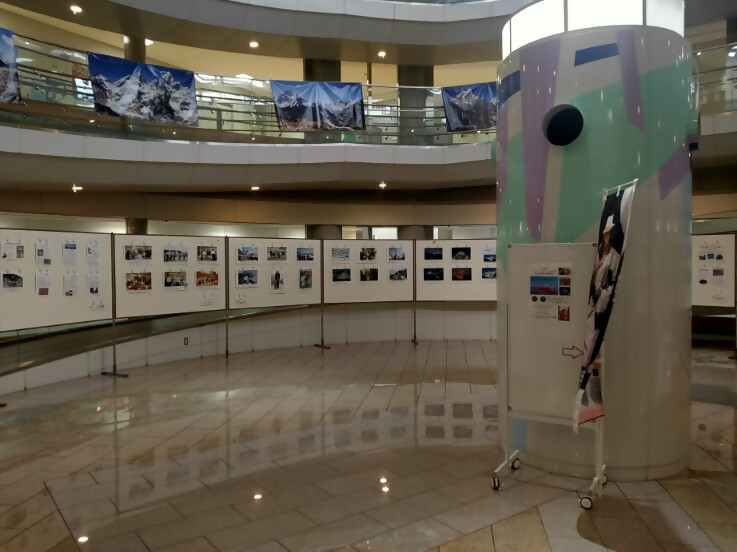 展示