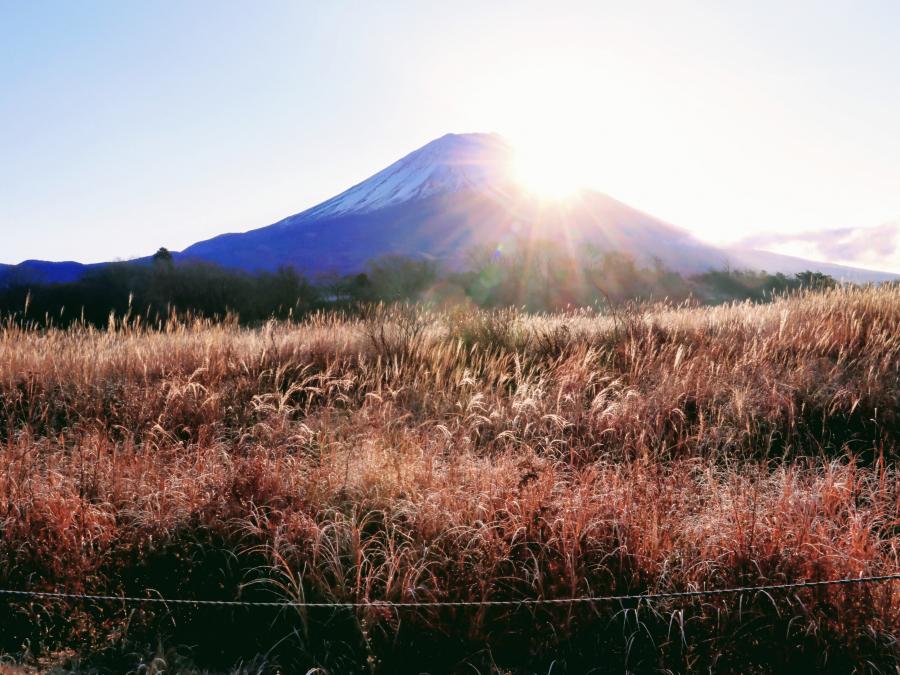 朝霧地区からの初日の出