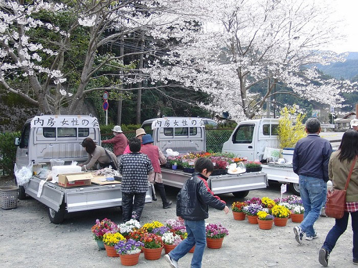 内房たけのこ・桜まつりの様子