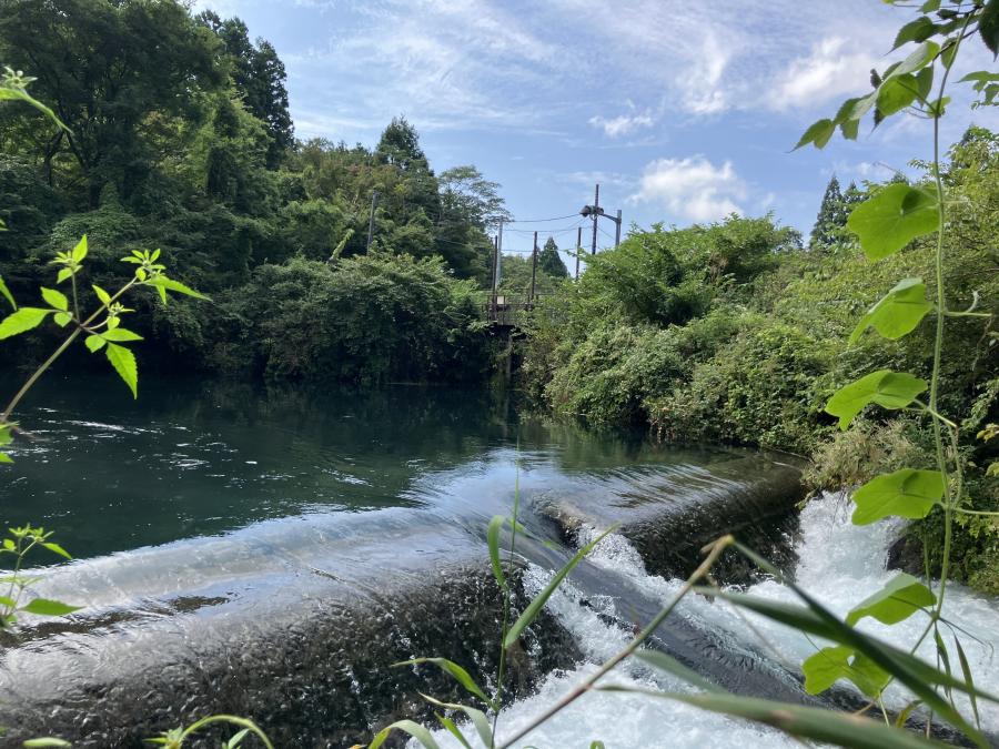猪之頭発電所