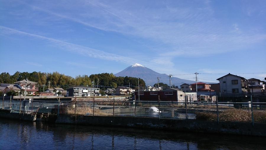 池と富士山