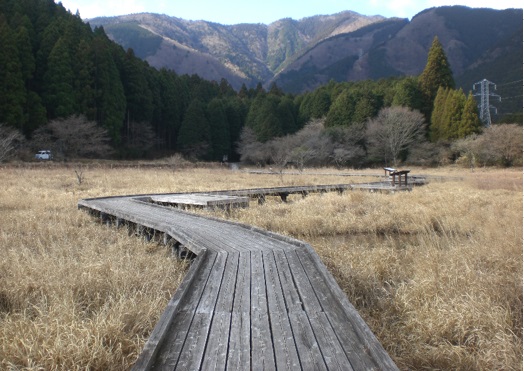 小田貫湿原の木道