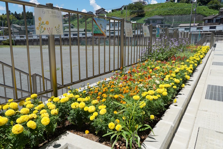 13奨励賞（アイデア賞）芝川中学校