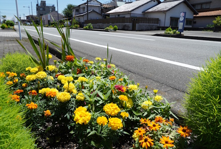 4奨励賞（調和賞）二の宮区花の会