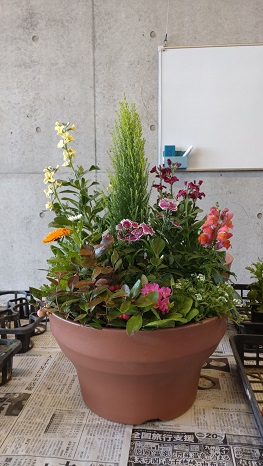 秋の彩り寄せ植え教室