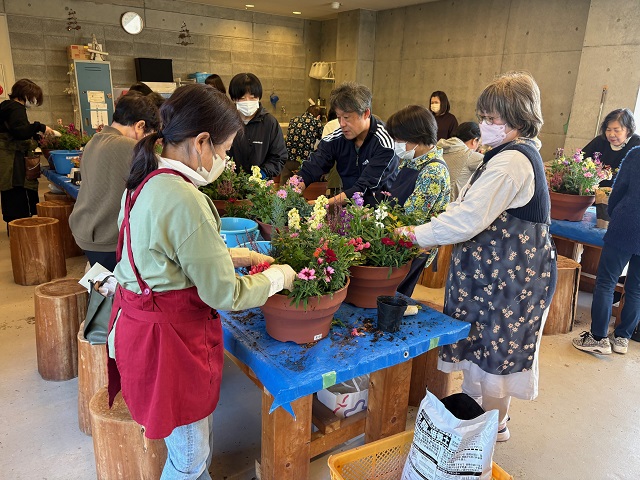 秋の彩り寄せ植え教室2