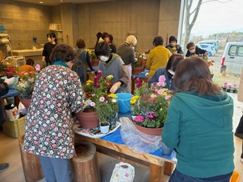 クリスマス＆正月寄せ植え教室_3