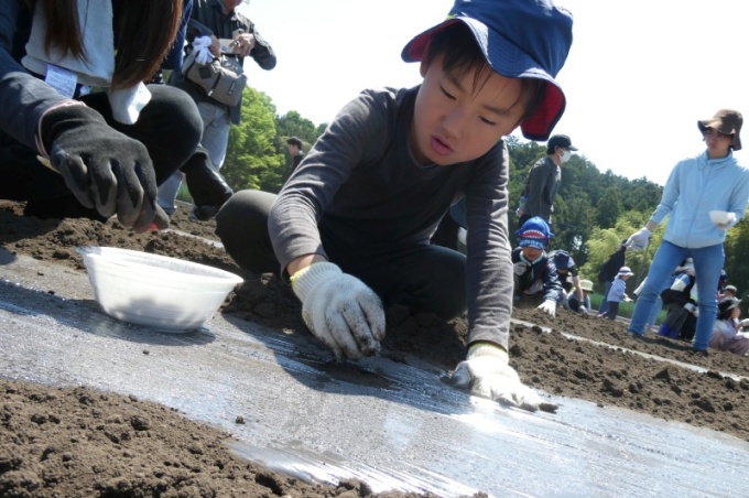Rs_P1000284_TOP.jpg