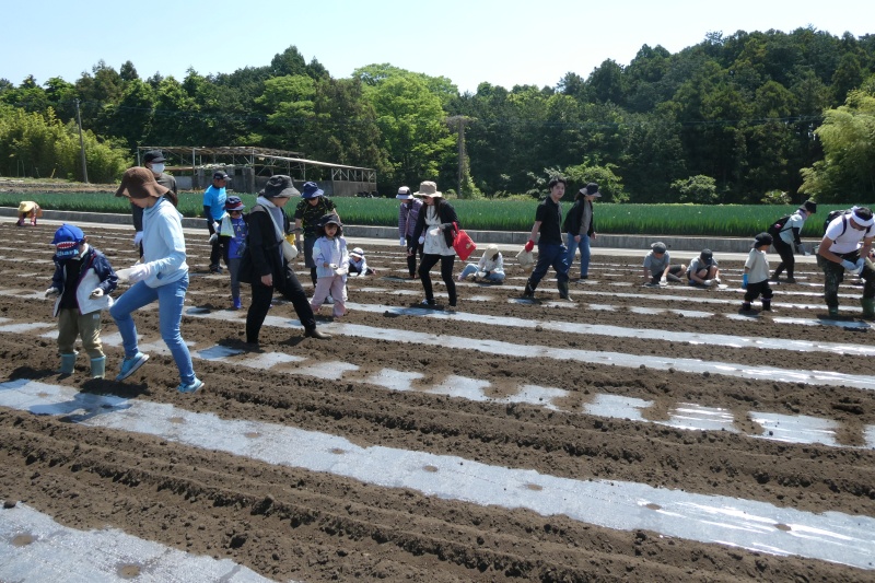Rs_P1000290.jpg