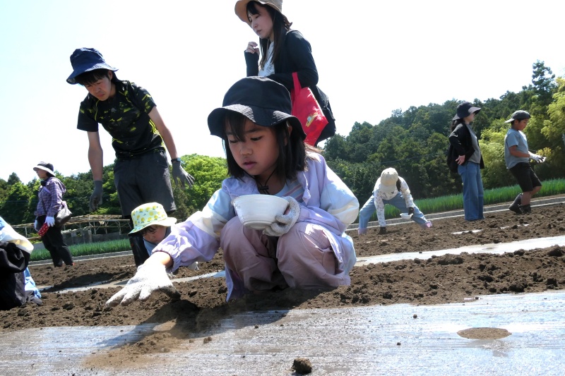 Rs_P1000293.jpg