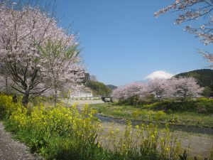 稲瀬川