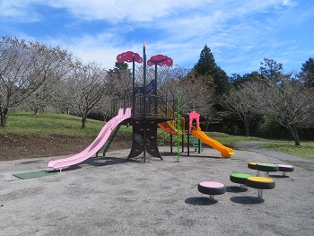 桜の樹をテーマにした複合遊具