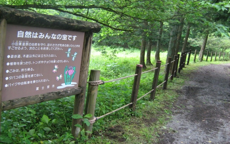  ※湿原内への立ち入り、動植物の採取は厳にお慎みください。