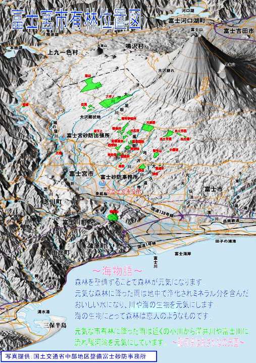 市有林位置図(鳥瞰図)